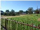 4 Goobang Street, Alectown NSW 2870