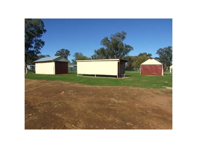 4 Goobang Street, Alectown NSW 2870