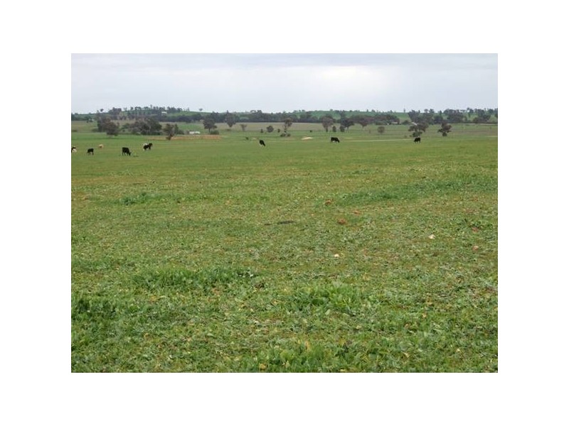 31 Cons Lane – Parkesborough Road, Parkes NSW 2870