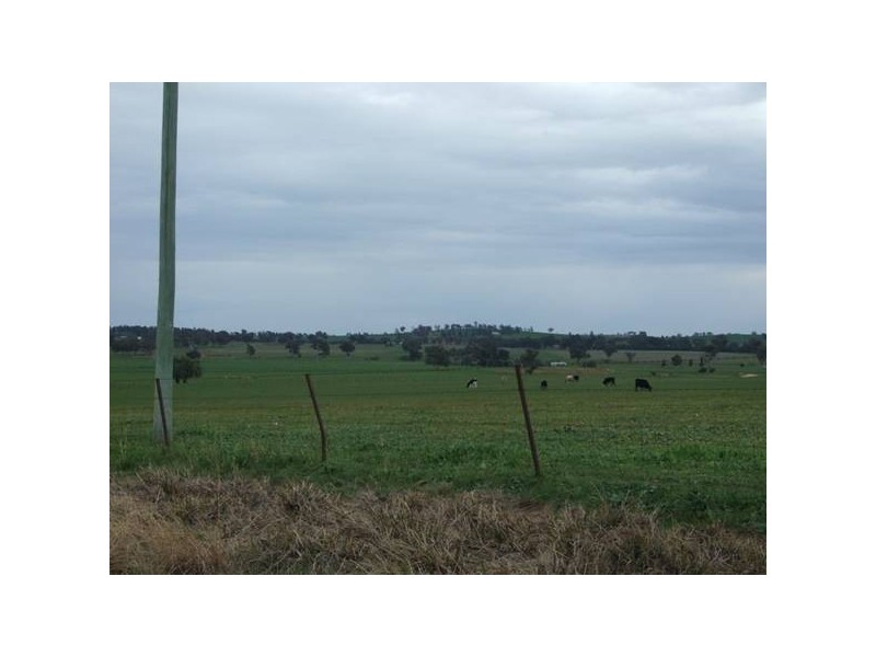 31 Cons Lane – Parkesborough Road, Parkes NSW 2870