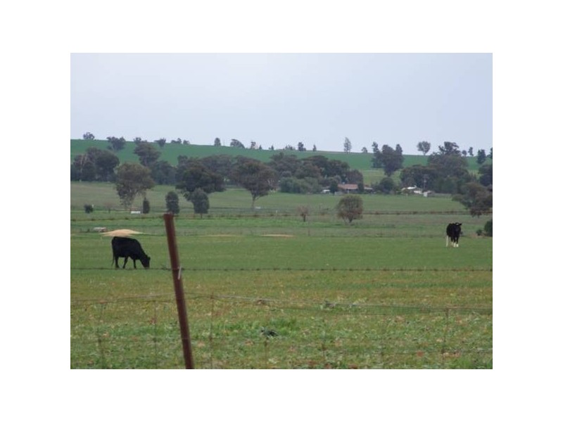 31 Cons Lane – Parkesborough Road, Parkes NSW 2870