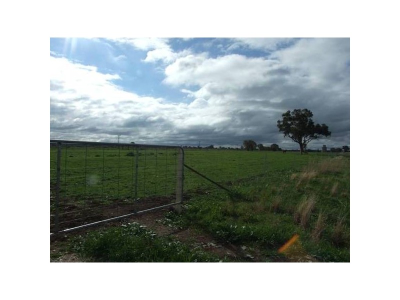 214 & 220 Newell Way, Tichborne NSW 2870