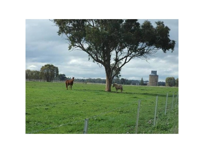 214 & 220 Newell Way, Tichborne NSW 2870