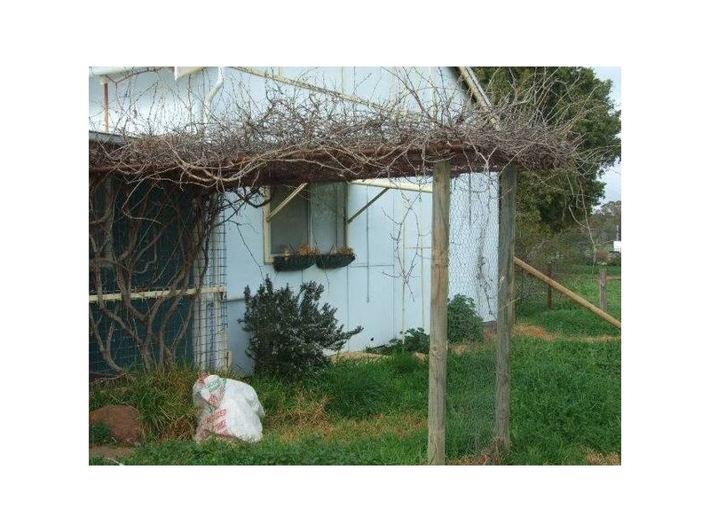 6 Goobang Street, Alectown NSW 2870