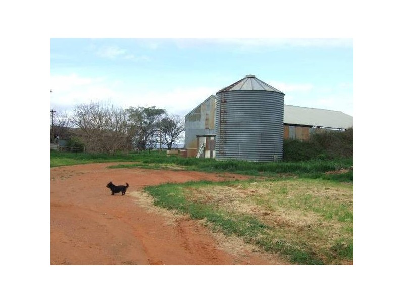 Orange Road, Parkes NSW 2870