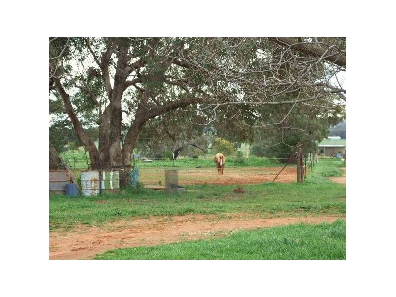 Orange Road, Parkes NSW 2870