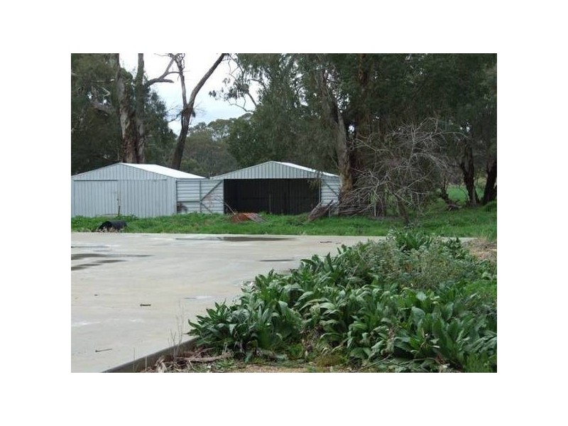 186 Cnr Cooka Hills Rd & Orange rd, Parkes NSW 2870