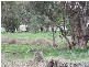 186 Cnr Cooka Hills Rd & Orange rd, Parkes NSW 2870