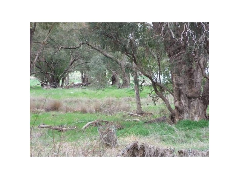 186 Cnr Cooka Hills Rd & Orange rd, Parkes NSW 2870
