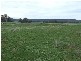 186 Cnr Cooka Hills Rd & Orange rd, Parkes NSW 2870