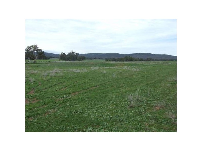186 Cnr Cooka Hills Rd & Orange rd, Parkes NSW 2870