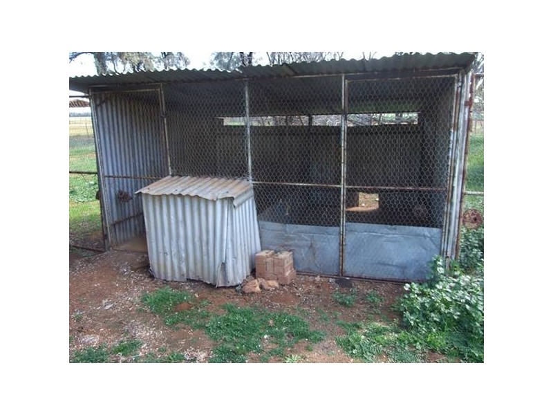 Cookamidgera Road, Parkes NSW 2870