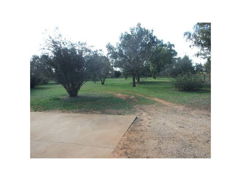 Cookamidgera Road, Parkes NSW 2870