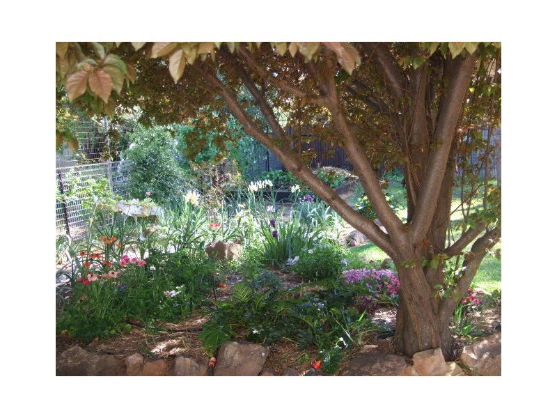8 Oswin Street, Parkes NSW 2870