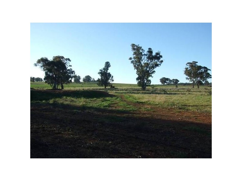 1042 Condobolin Road, Parkes NSW 2870
