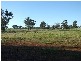 1042 Condobolin Road, Parkes NSW 2870