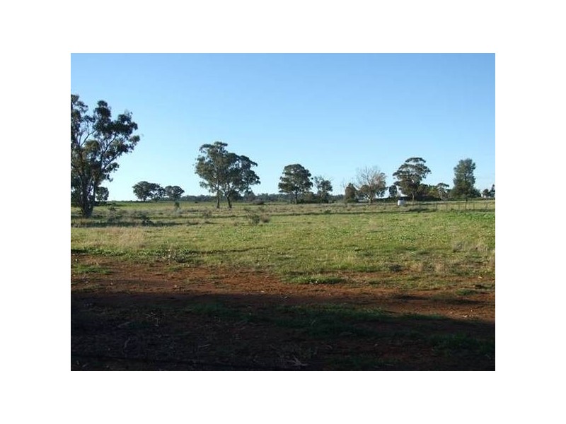 1042 Condobolin Road, Parkes NSW 2870