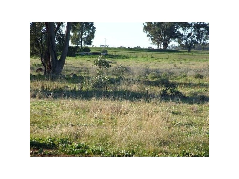 1042 Condobolin Road, Parkes NSW 2870