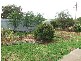38 Coleman Road, Parkes NSW 2870