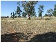 5 Maguire Road, Parkes NSW 2870
