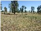 5 Maguire Road, Parkes NSW 2870