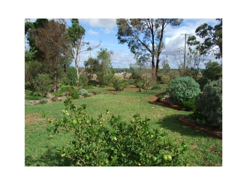 258 Cons Lane, Parkes NSW 2870
