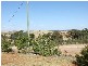 11 Heraghty Road, Parkes NSW 2870