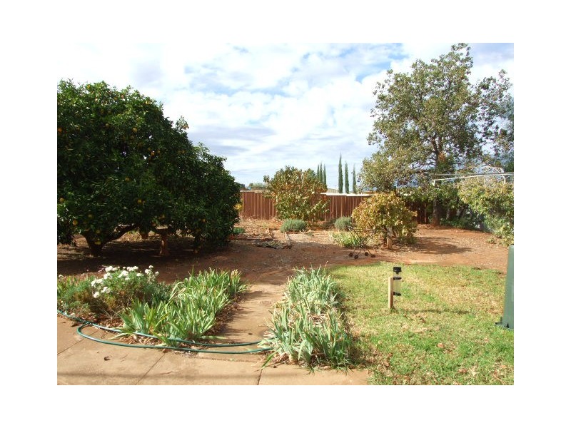 55 Mitchell Street, Parkes NSW 2870