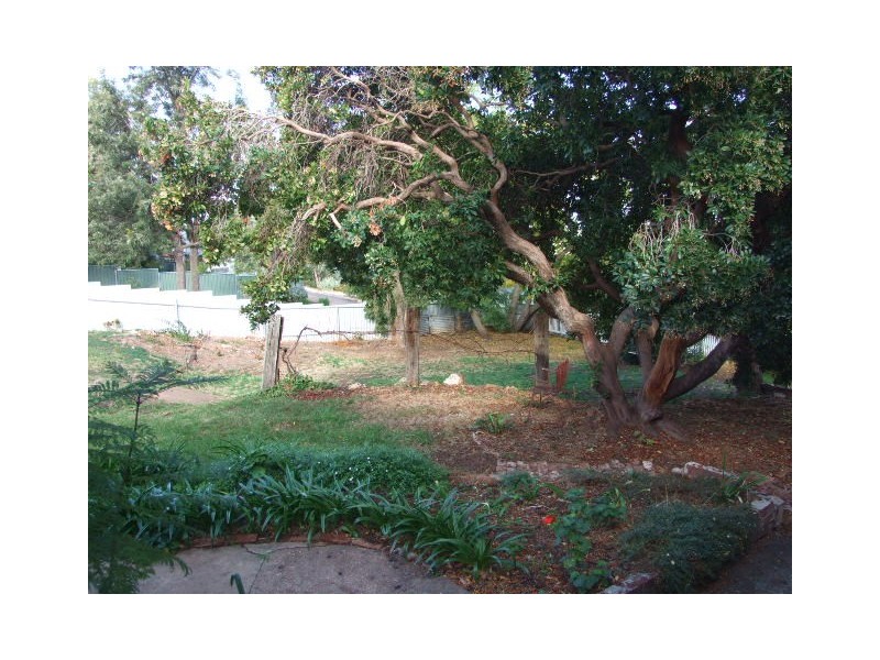 15 Bushman Street, Parkes NSW 2870
