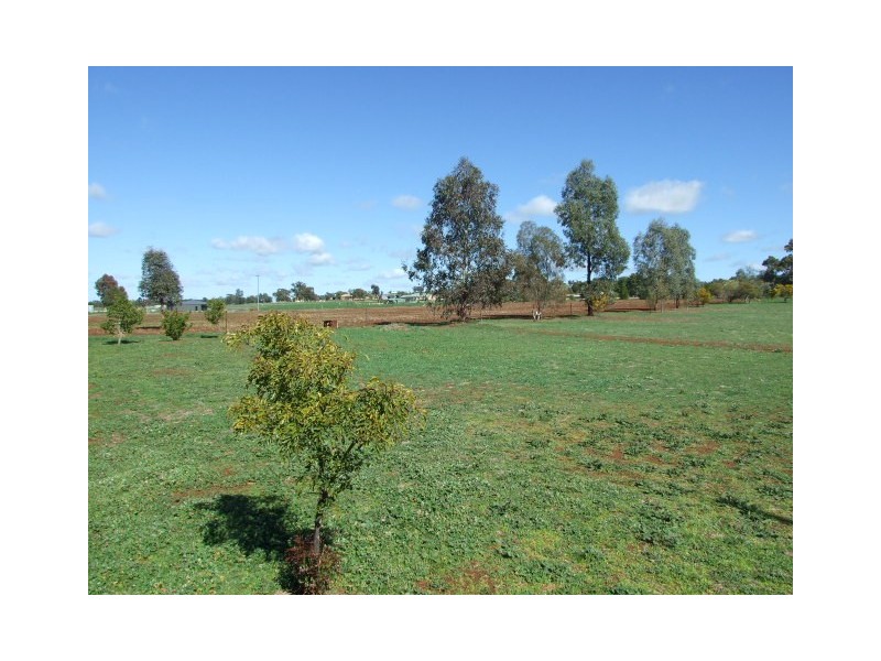 250 Nash Street, Parkes NSW 2870