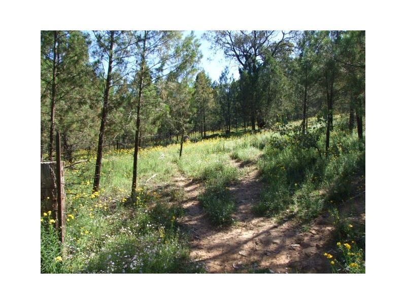 Lot 1,  Cooka Hills Road, Parkes NSW 2870