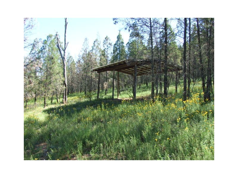 Lot 1,  Cooka Hills Road, Parkes NSW 2870