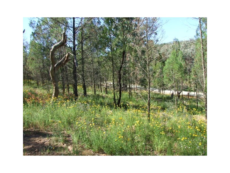 Lot 1,  Cooka Hills Road, Parkes NSW 2870