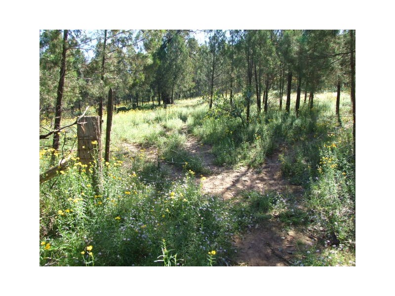 Lot 1,  Cooka Hills Road, Parkes NSW 2870