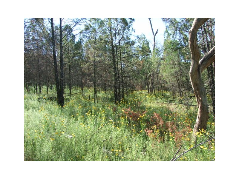 Lot 1,  Cooka Hills Road, Parkes NSW 2870