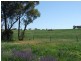 139 Tanks Lane, Parkes NSW 2870