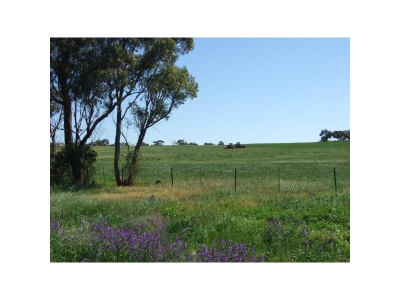 139 Tanks Lane, Parkes NSW 2870
