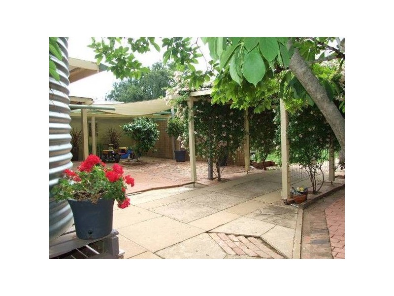 38 Bushman Street, Parkes NSW 2870