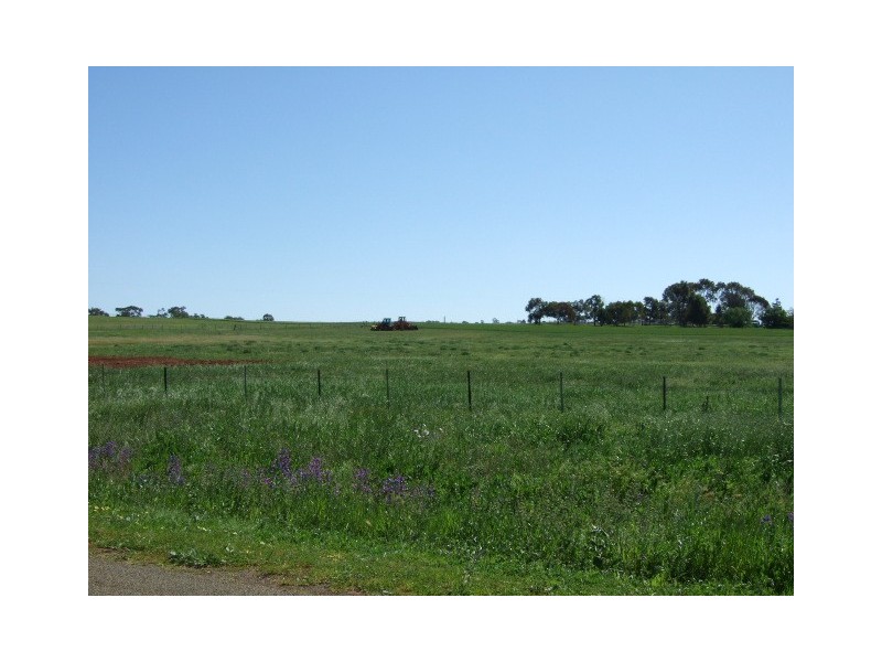 139 Tanks Lane, Parkes NSW 2870