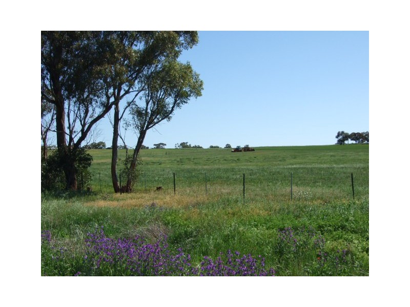 139 Tanks Lane, Parkes NSW 2870