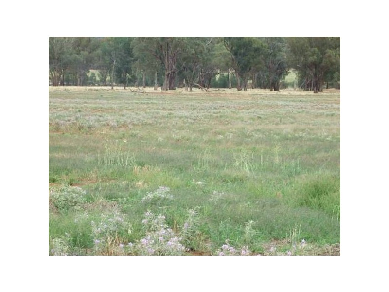 1 & 2 Eugowra Road, Parkes NSW 2870