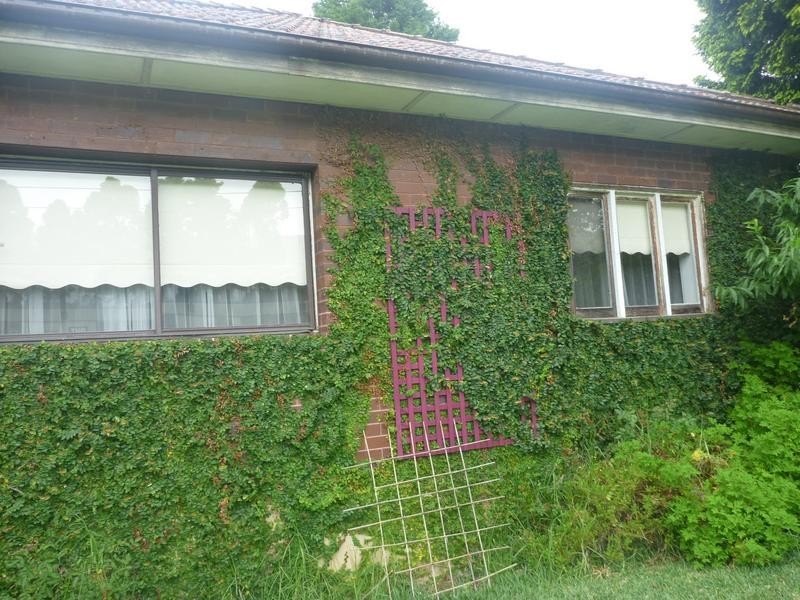 7 Clarke Road, Waitara NSW 2077