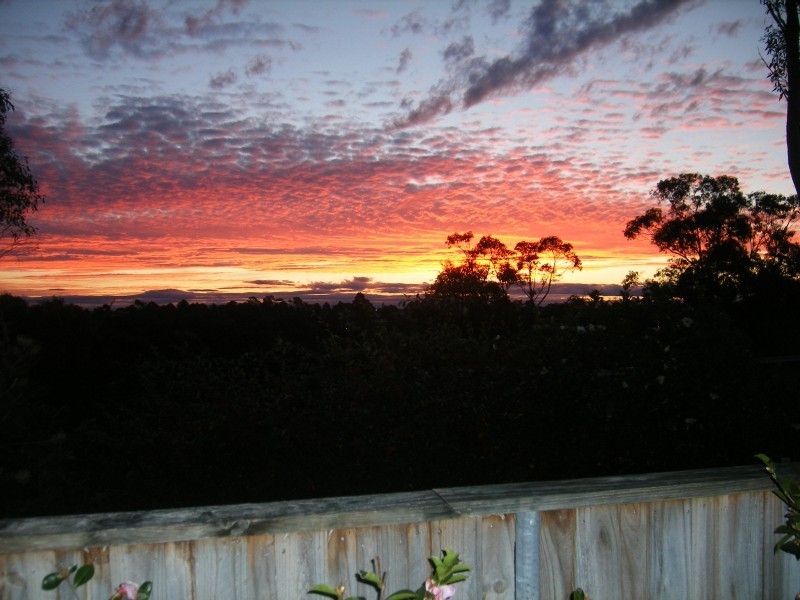 75 Excelsior Road, Mount Colah NSW 2079