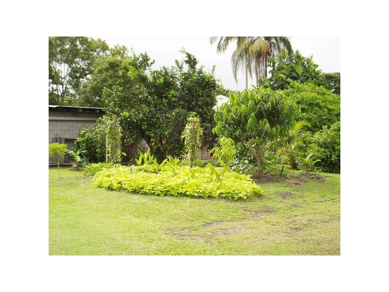 6 Palm Avenue, Ingham QLD 4850