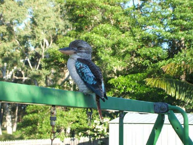 15 Luke Court, Bushland Beach QLD 4818