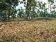 Kelso QLD 4815