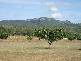 Alligator Creek QLD 4816