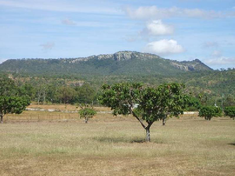 Alligator Creek QLD 4816