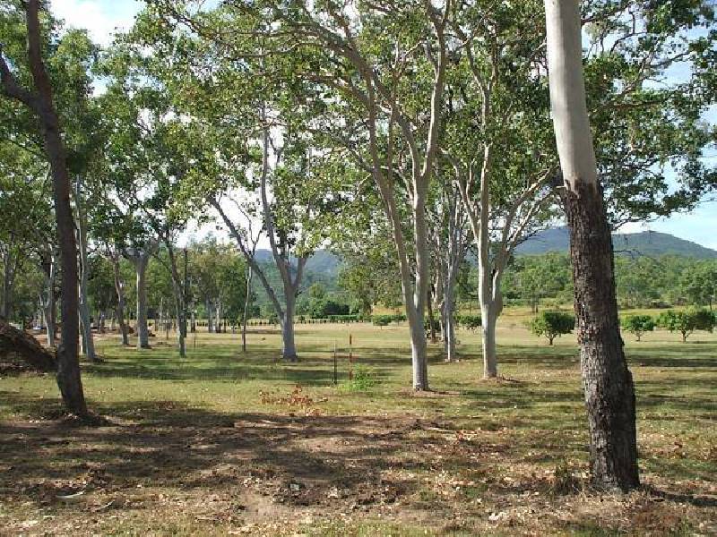 Alligator Creek QLD 4816