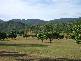Alligator Creek QLD 4816